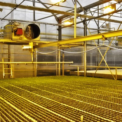 Arcotherm Farm Heavy Duty Suspended Space Heaters