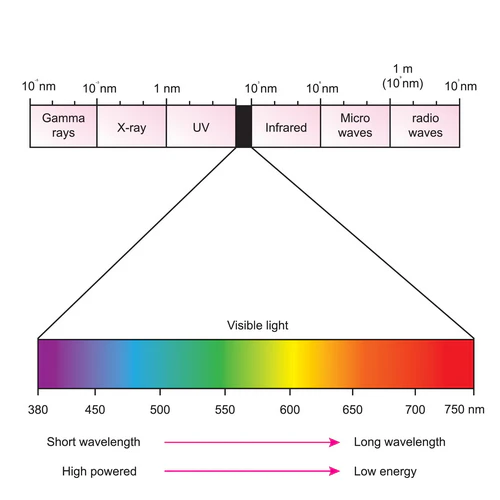 Diagram of the electromagnetic spectrum showing visible light wavelengths between infrared and ultraviolet