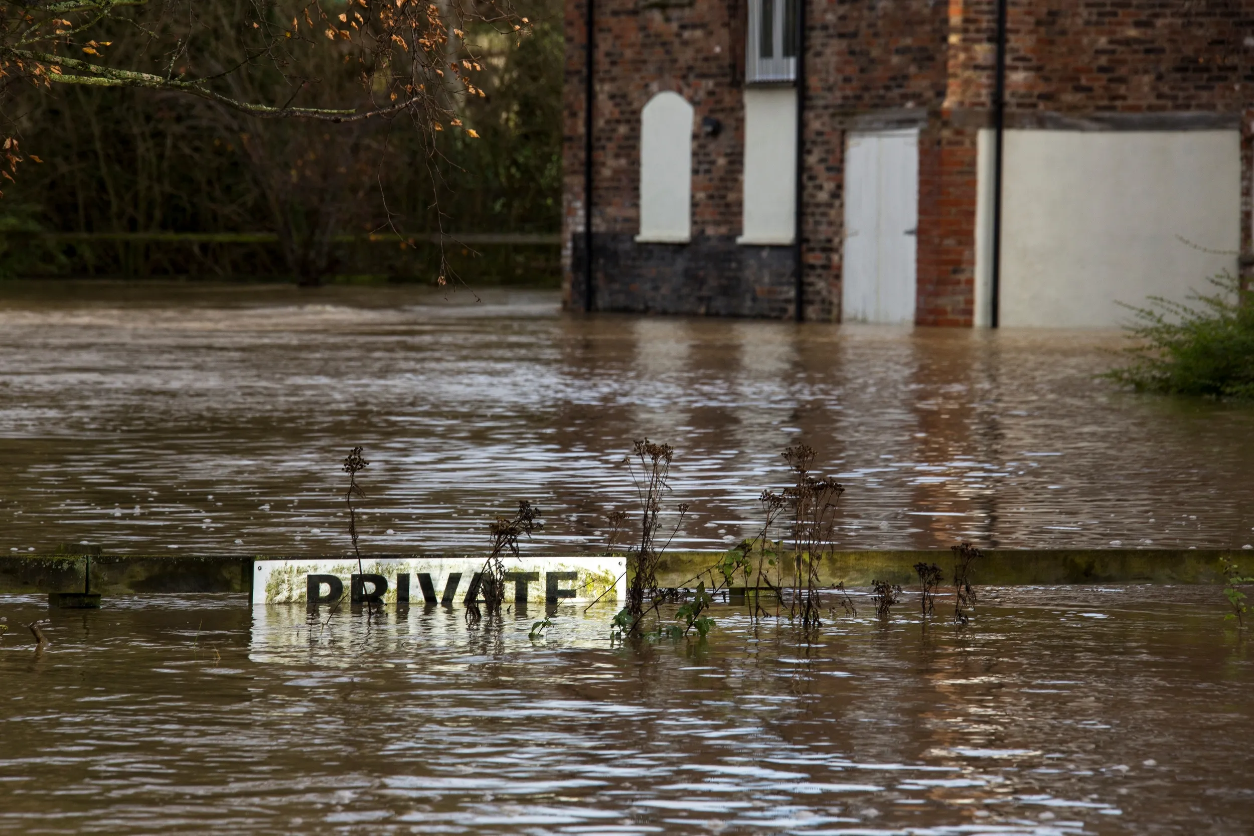 How to Dry Out Flood Damage: Heat vs Dehumidifiers