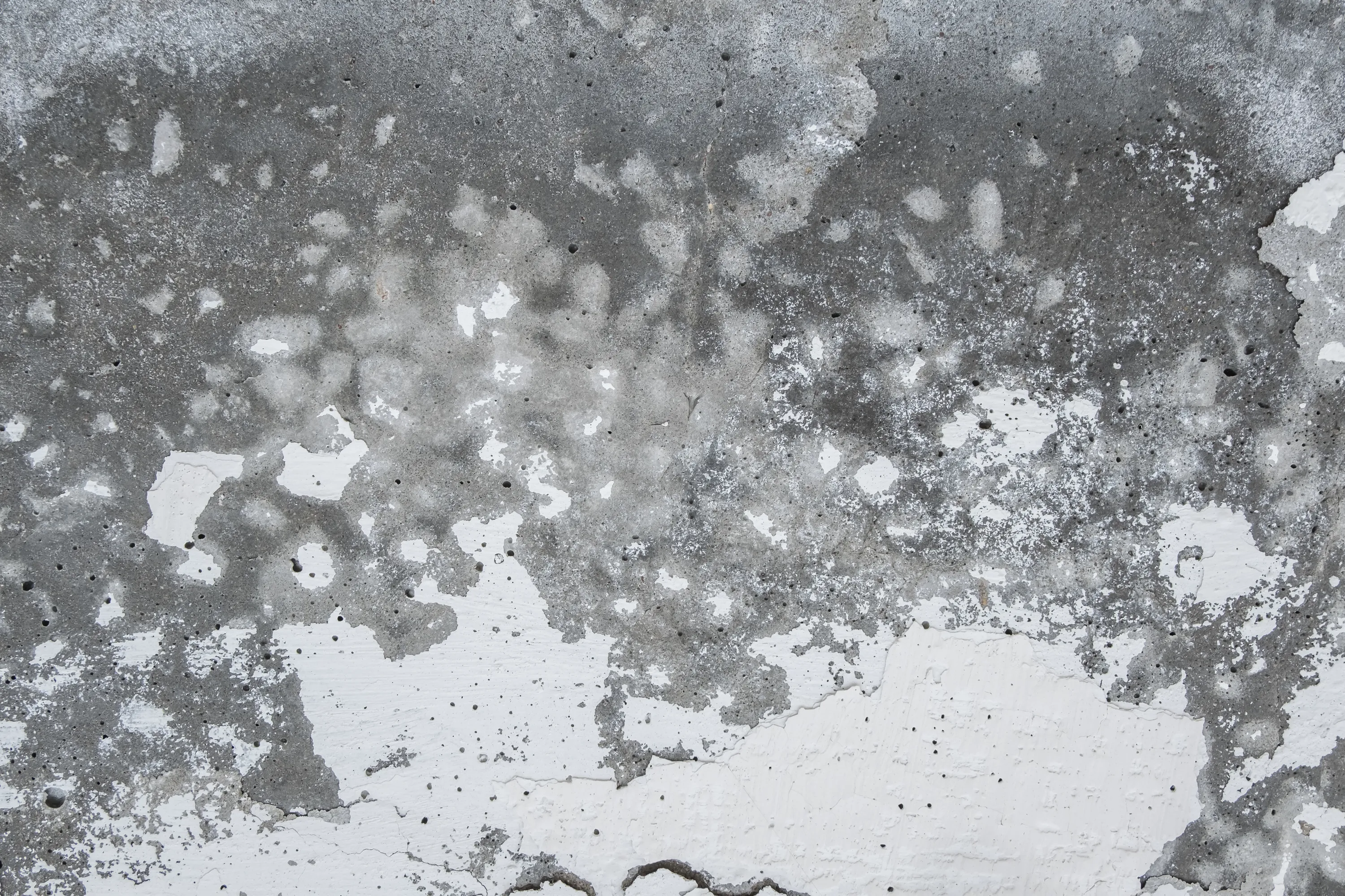 Condensation & Mould Control on Site: Heat vs Dehumidifiers