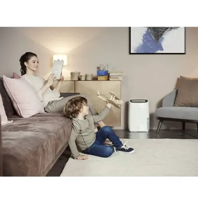 Delonghi DEX214F Tasciugo AriaDry 14L Home Dehumidifier