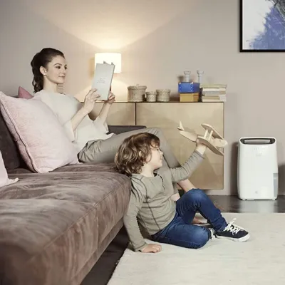Delonghi DEX212F Tasciugo AriaDry Home Dehumidifier