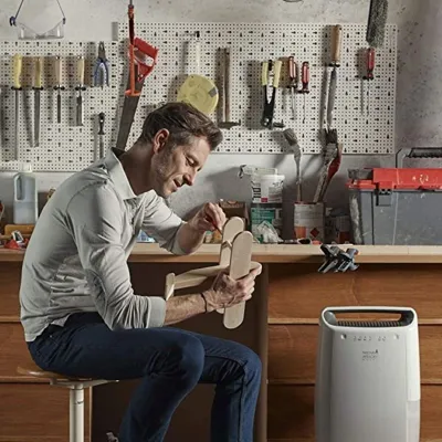 Delonghi DEX212F Tasciugo AriaDry Home Dehumidifier