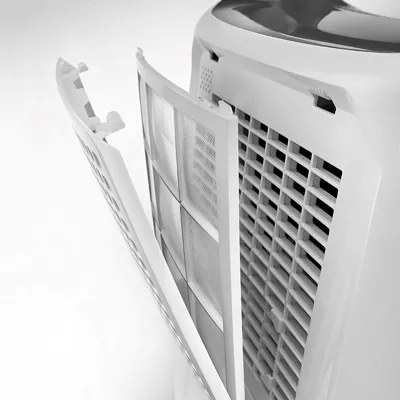 Delonghi DEX212F Tasciugo AriaDry Home Dehumidifier