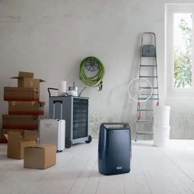 Delonghi DEX216F Tasciugo AriaDry Home Dehumidifier