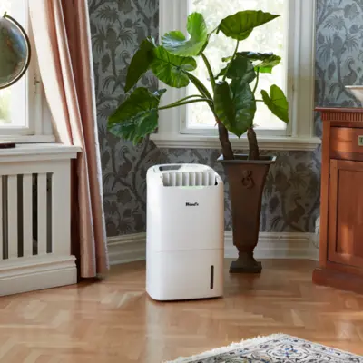 Woods AD20G Hybrid Dehumidifier & Air Purifier 230v Living Room