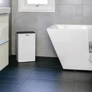 Home Dehumidifiers