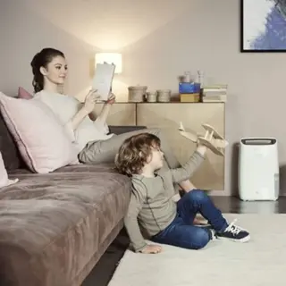 Dehumidifiers With Laundry Mode