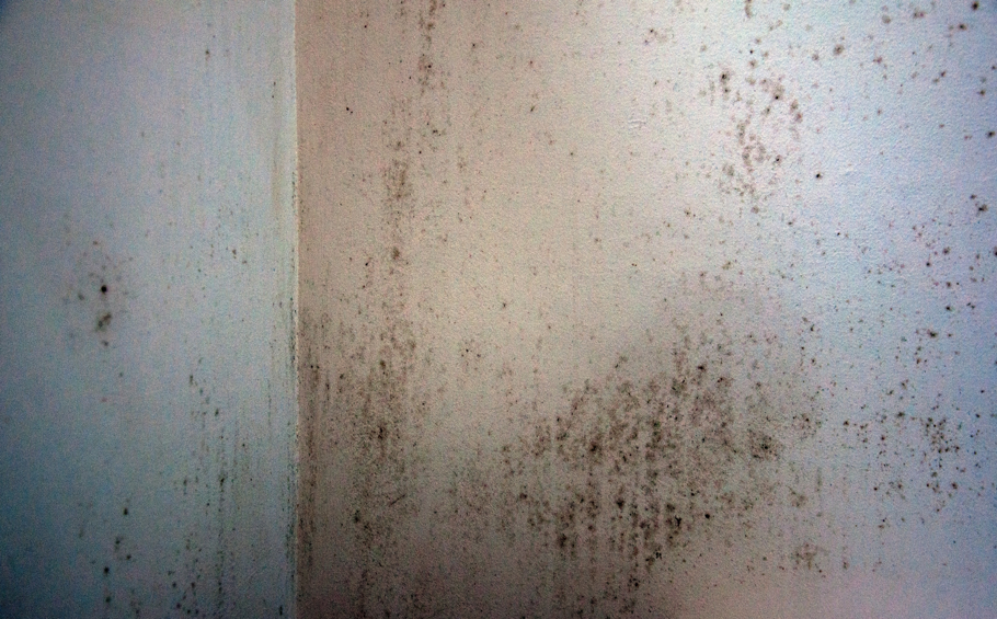 Mould in the corner of a room