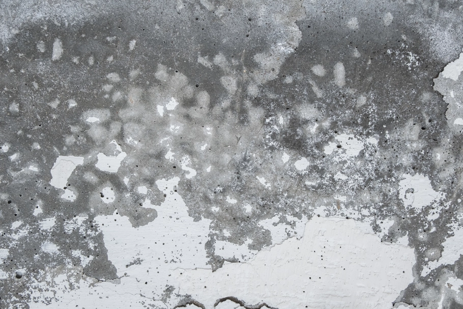 Mould and damp on wall