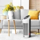 BONECO P300 Air Purifier